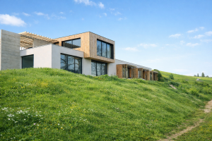 Florence LECCIA - FLORENCE LECCIA